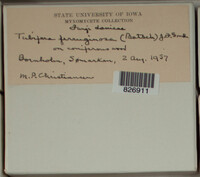 Image Associated With the Occurence